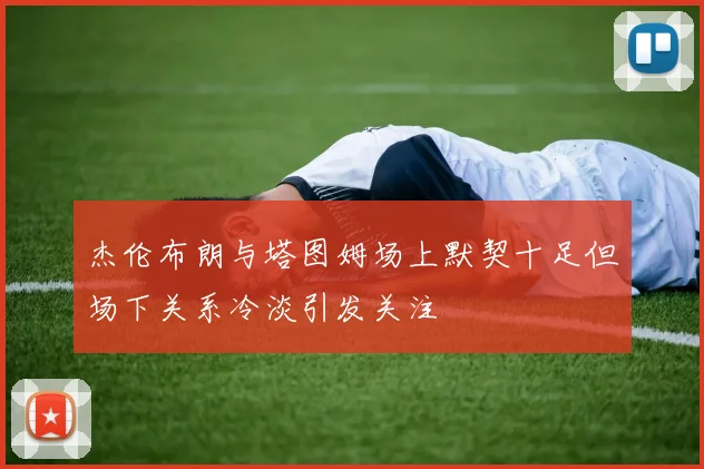 杰伦布朗与塔图姆场上默契十足但场下关系冷淡引发关注