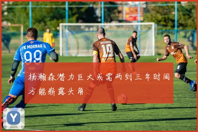 杨瀚森潜力巨大或需两到三年时间方能崭露头角